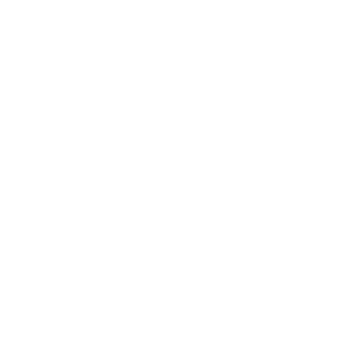 cross icon